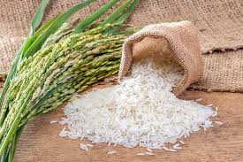 Economic Strain APC Warns Against Rice Tariff
