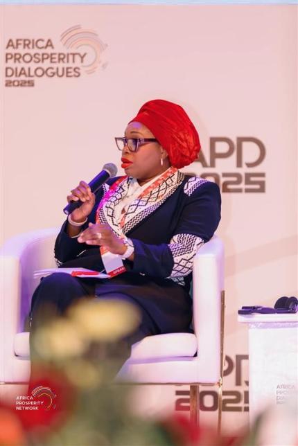 UBA Kone-Thiam Advocates for Bankable Projects at Africa Prosperity Dialogue